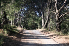 Saint Paul le Marseillais Gites